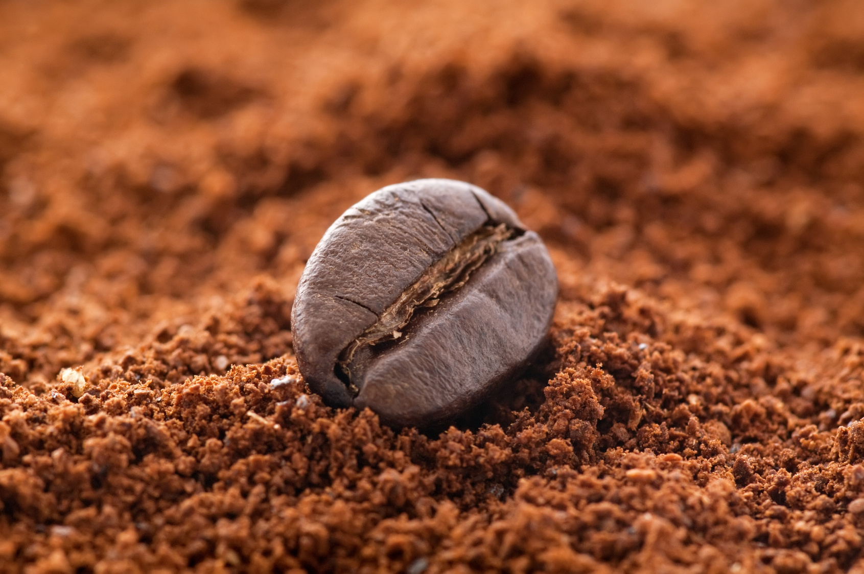Kühlschrankgeruch mit Kaffeepulver entfernen Kühlschrankgeruch mit Kaffeepulver entfernen
