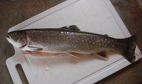 Frischer Fisch auf einem Schneidebrett