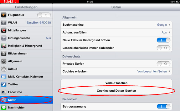Einstellungen des Safari