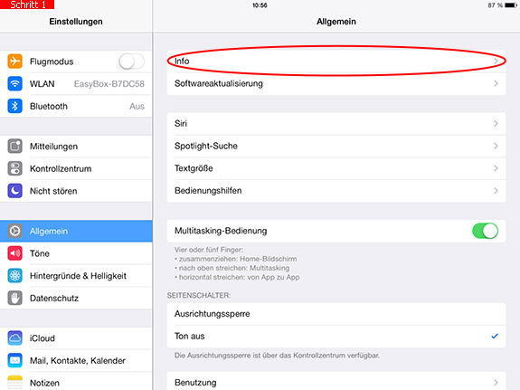 Menüpunkt Info auf dem iPad