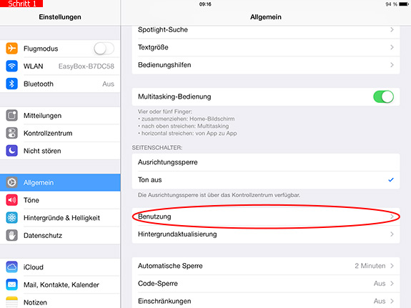 Menüpunkt Benutzung in den iPad-Einstellungen