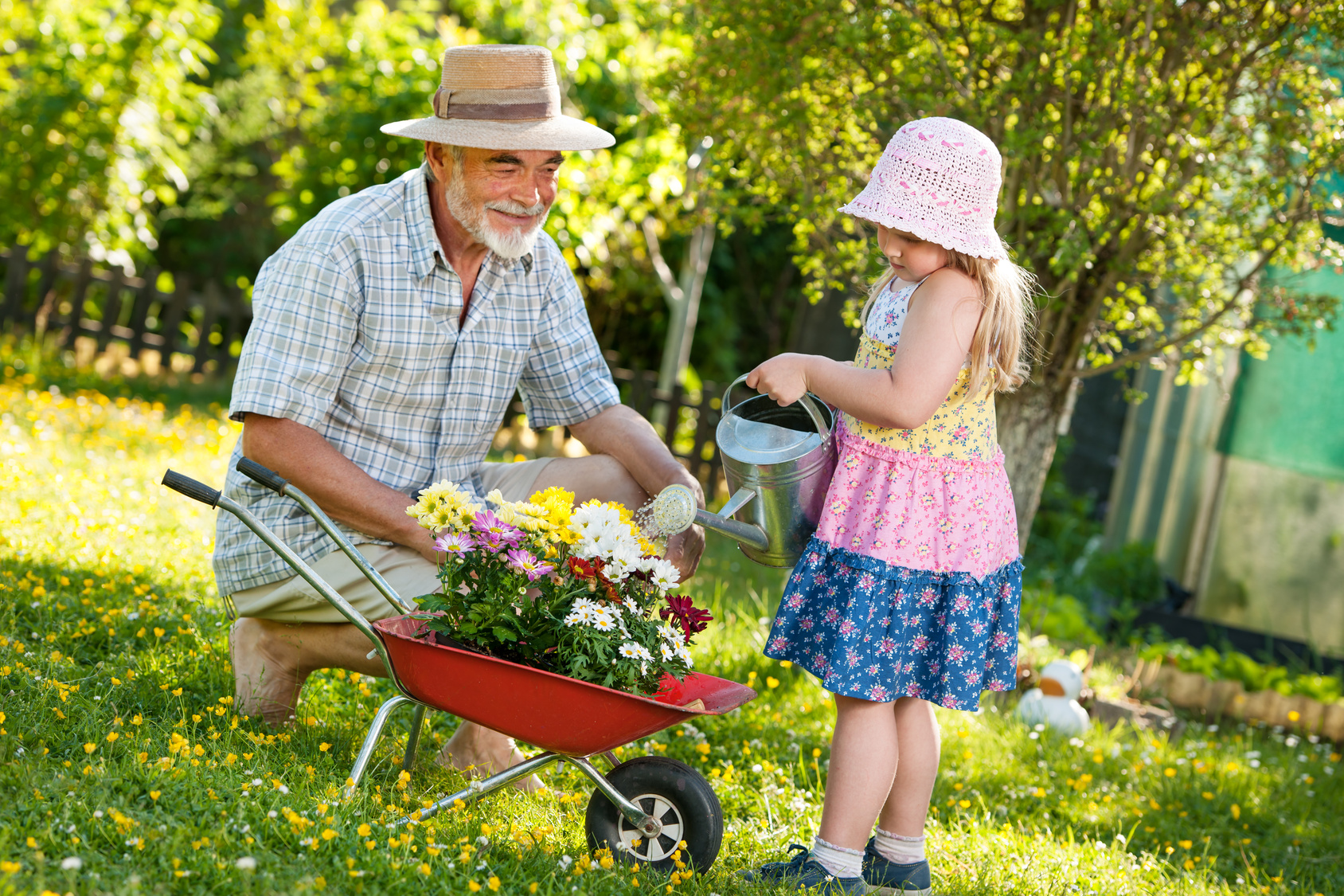 Дедушка помогает внучке. Пожилые люди в саду. Бабушка с внуками на даче. Пенсионеры на даче. Семья в саду.
