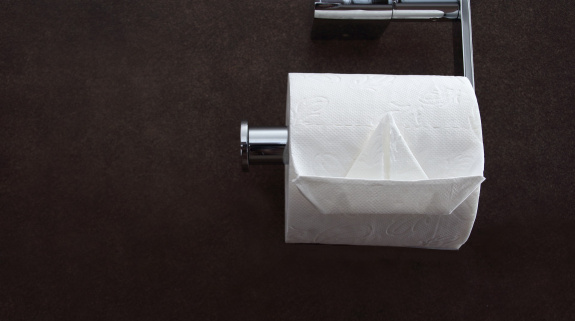 Klopapier kann die Toilette verstopfen