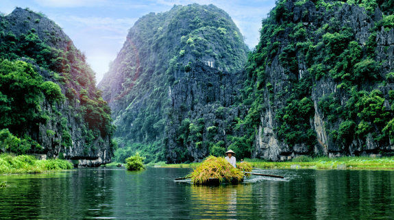Natur in Vietnam